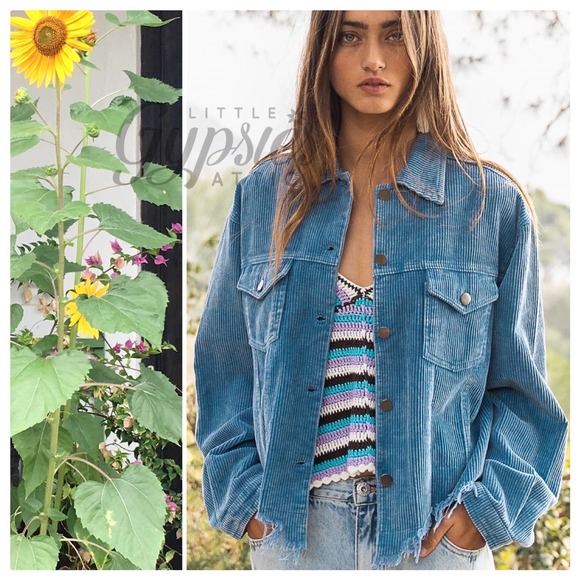POL Jackets & Blazers - POL Basic Vintage BLUE Corduroy Jacket